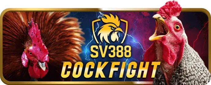 Các loại kèo cược đá gà đa dạng sv666